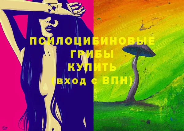 стафф Арсеньев