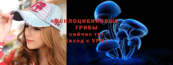 стафф Арсеньев