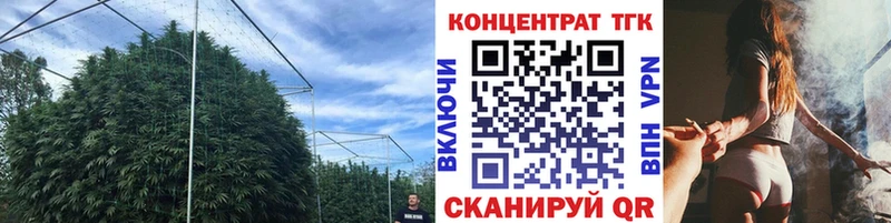 shop телеграм Тимашёвск Дистиллят ТГК гашишное масло
