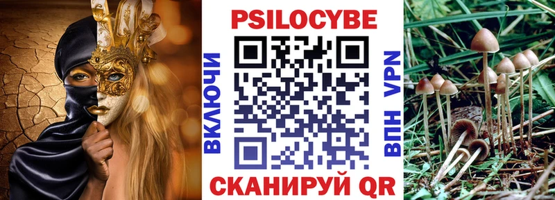 darknet клад  Тимашёвск  Псилоцибиновые грибы Cubensis 